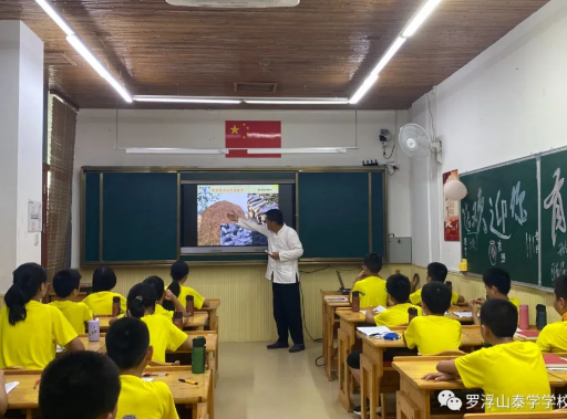 罗浮山泰学学校中医夏令营