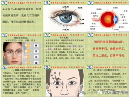 罗浮山泰学学校中医夏令营