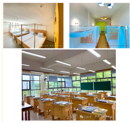 罗浮山泰学学校中医夏令营