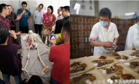 罗浮山泰学学校中医夏令营