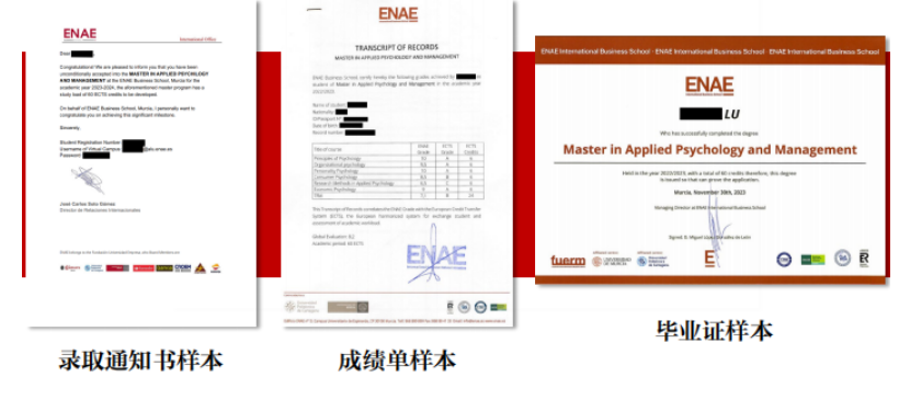 西班牙穆尔西亚大学ENAE商学院应用心理学与管理硕士