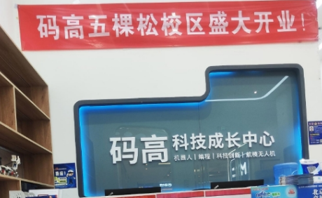 码高机器人编程价格多少？