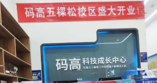 码高编程的优势有哪些？