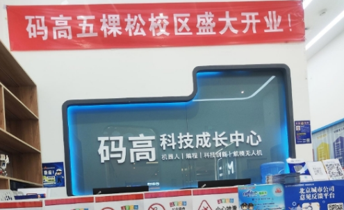 码高机器人编程：课程价值解析与费用说明