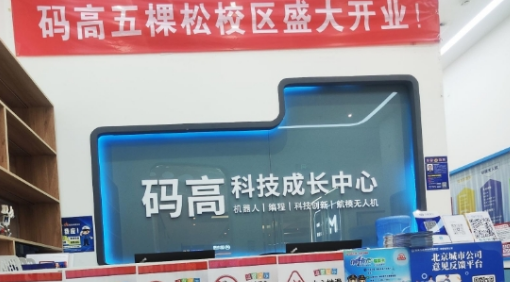 码高编程的课程安排介绍