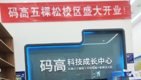 北京码高少儿编程：3-18 岁青少年编程能力培养专家