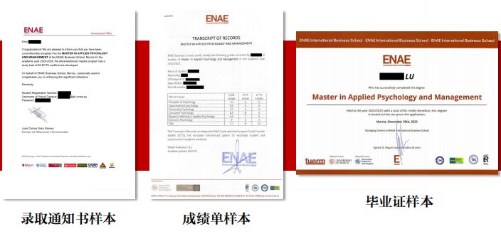 西班牙穆尔西亚大学ENAE商学院金融管理硕士