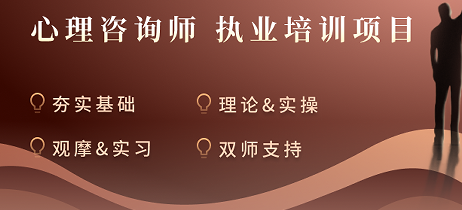 2025年观心实验室心灯计划价格多少？