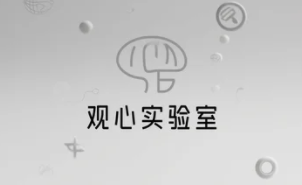 2025年观心实验室项目有哪些？
