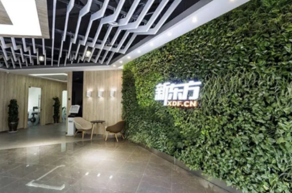 云南新东方k12文化课班