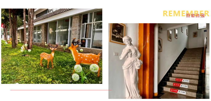 云南新东方高考全日制学校艺体生文化课集训