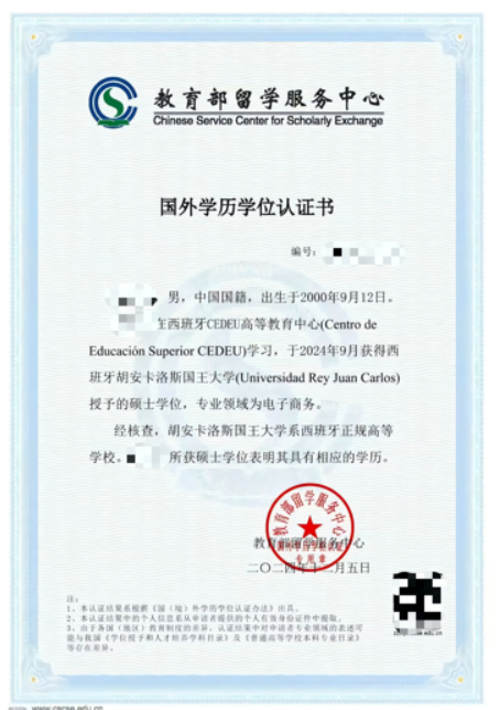 胡安卡洛斯国王大学CEDEU学院电子商务官方硕士项目