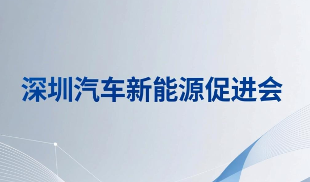 2026年深圳汽车新能源促进会有何特色？