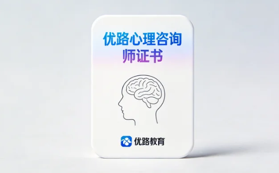 2026年南京优路教育心理咨询师课程有什么独特之处?