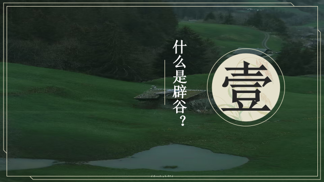 杭州静谷养生基地简介