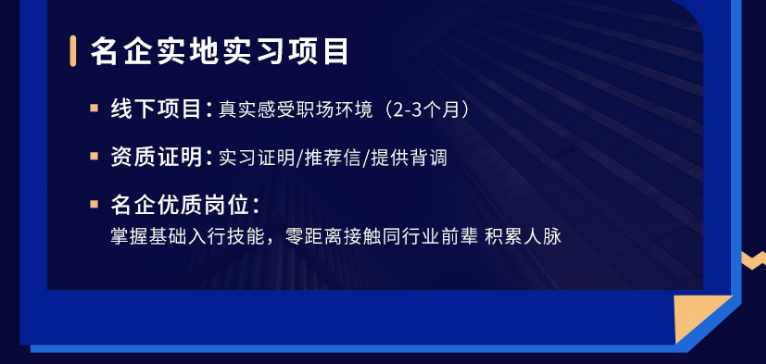 实地实习项目（可线上远程实习）