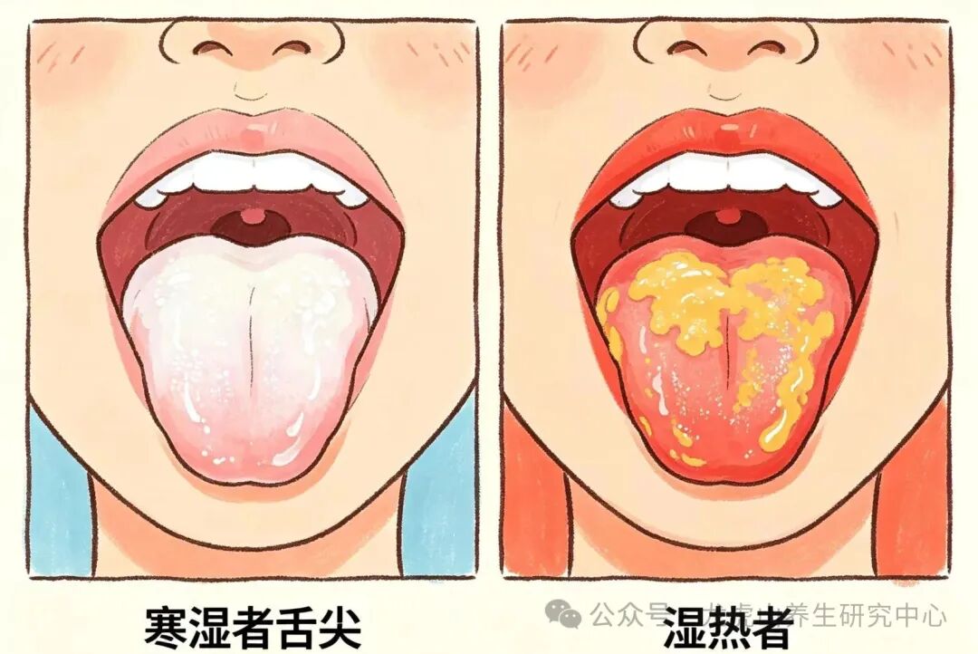 祛湿有道：先分寒热，再健脾胃，湿气才能去得净