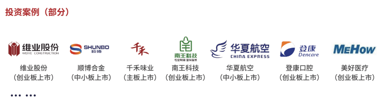 资深投资分析师VCA