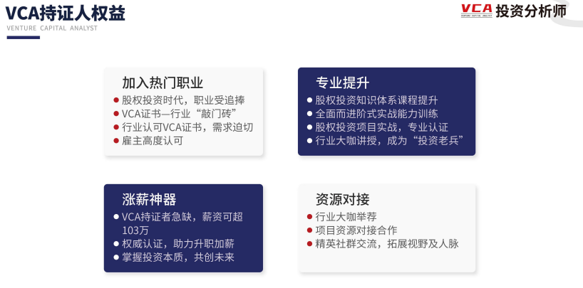 投资分析师VCA