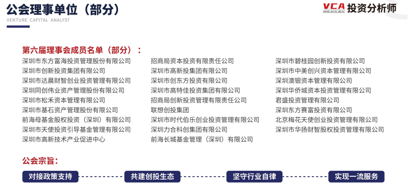 高级投资分析师VCA