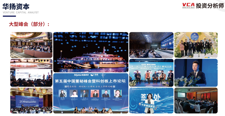 投资分析师VCA