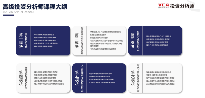 高级投资分析师VCA