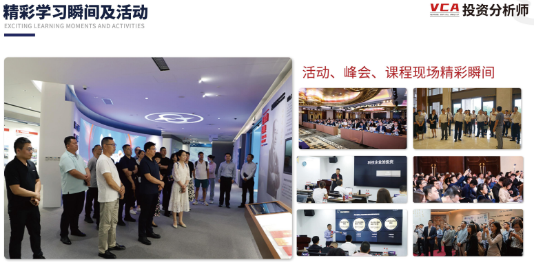 投资分析师VCA