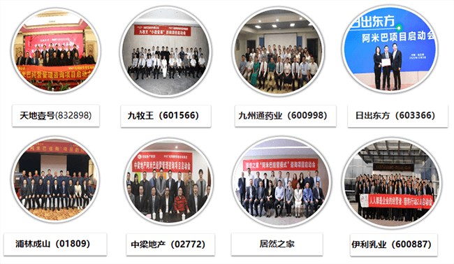 《中国式阿米巴经营模式》咨询式内训辅导方碧泉