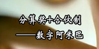 《分算奖+合伙制——数字阿米巴》方案班