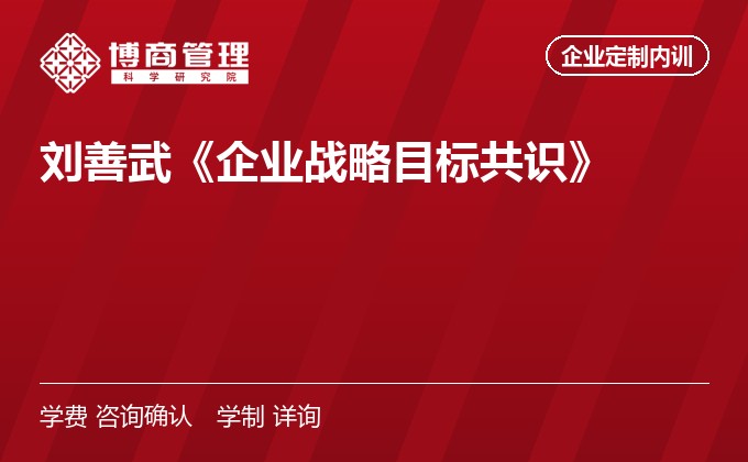 刘善武《企业战略目标共识》