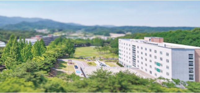 韩国院校校园实景