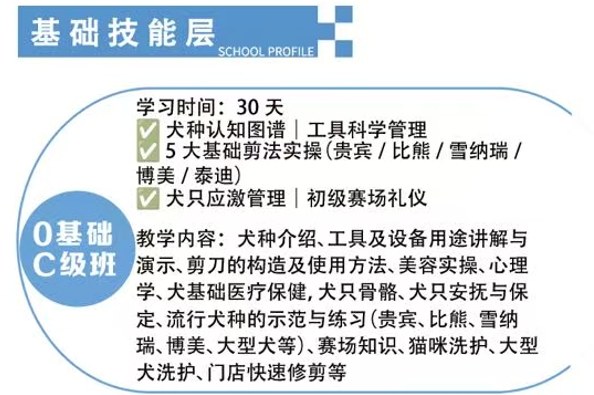 恩宠爱0基础C级班