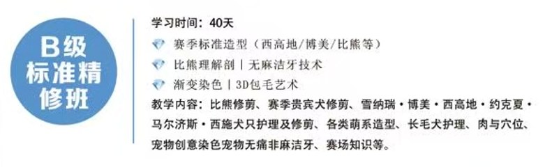 恩宠爱B+A级精品班