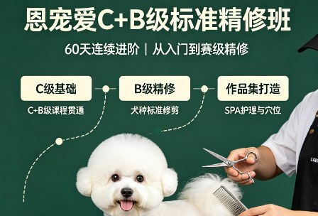 恩宠爱C+B级标准精修班