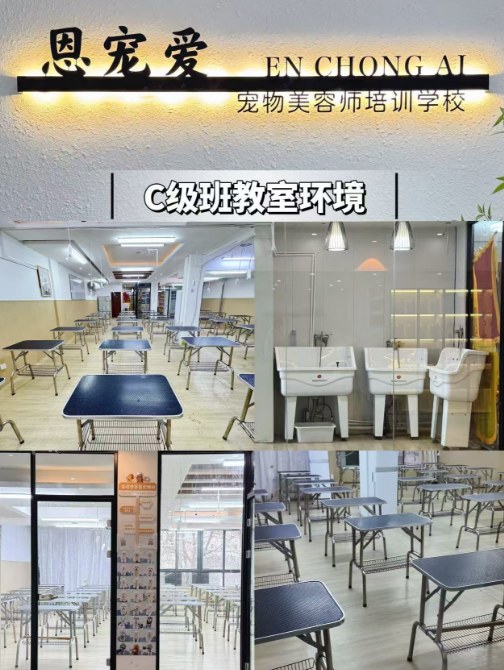 恩宠爱C级创业班