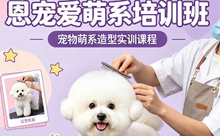 恩宠爱萌系培训班