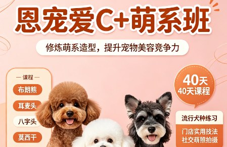 恩宠爱C+萌系班