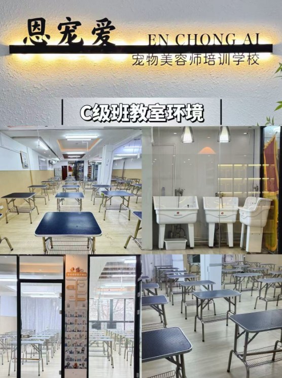 恩宠爱0基础C级班