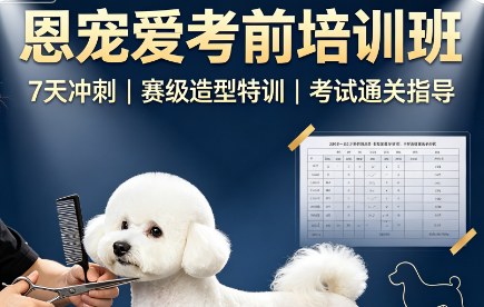 恩宠爱考前培训班
