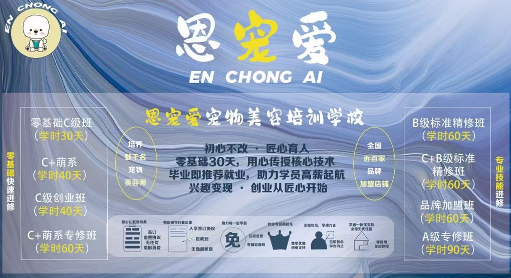 恩宠爱0基础C级班