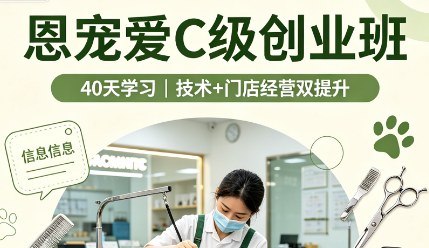 恩宠爱C级创业班