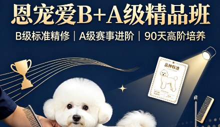 恩宠爱B+A级精品班