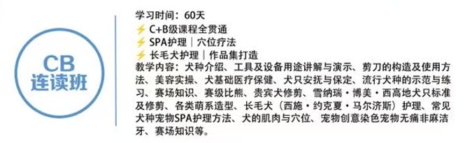 恩宠爱C+B+A级专业班