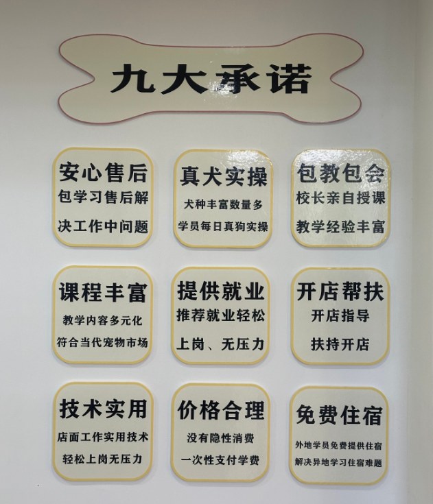 恩宠爱0基础C级班