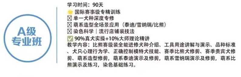 恩宠爱C+B+A级专业班
