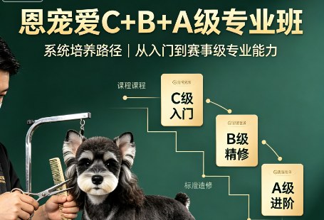 恩宠爱C+B+A级专业班