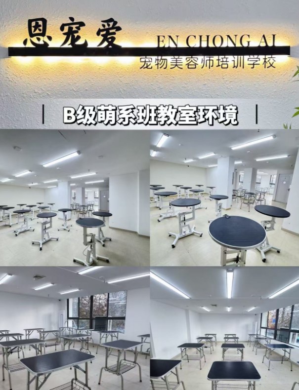 恩宠爱B+A级精品班