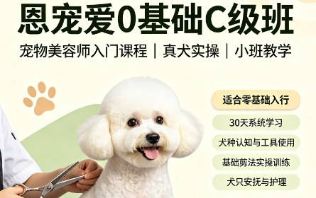 恩宠爱0基础C级班