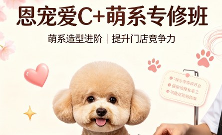 恩宠爱C+萌系专修班