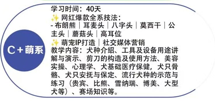 恩宠爱C+萌系班